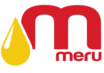 Mount Meru logo